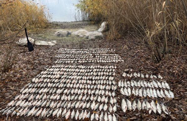 Браконьєрство на Кам’янському водосховищі: рибоохоронці зафіксували два серйозні порушення