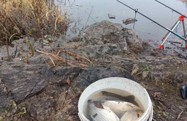 Шоста Сотня “вибухнула” коропом і чималими карасями